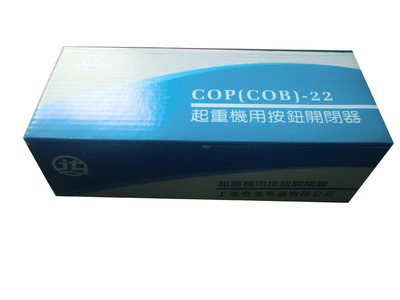 【ROMUON牌 COP-21R 220V 防雨型 起重機(jī)吊車按鈕開關(guān)【不帶電容】】?jī)r(jià)格,廠家,圖片,電工開關(guān),溫州奇璽電器科技-