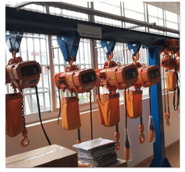 三鄉(xiāng)鎮(zhèn)運(yùn)行式低凈空葫蘆鏈條葫蘆地基圖紙與起重機(jī)選型指南