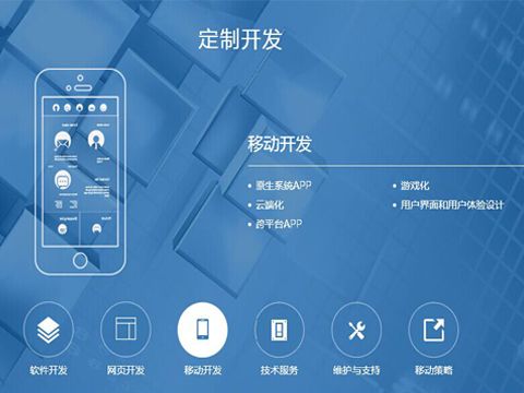 專業小程序定制開發公司