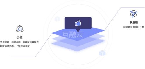 數(shù)字藏品系統(tǒng) 一站式數(shù)字藏品系統(tǒng)開(kāi)發(fā),助力產(chǎn)業(yè)轉(zhuǎn)型升級(jí)新模式