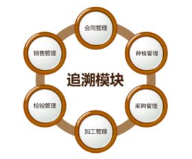 商品二維碼質(zhì)量追溯后臺(tái)管理系統(tǒng)定制開(kāi)發(fā)