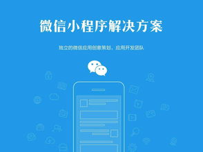 圖 成都商城開發,app定制,系統定制,網站建設 成都網站建設推廣