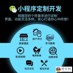 圖 成都商城開發,app定制,系統開發,網站建設 成都網站建設推廣