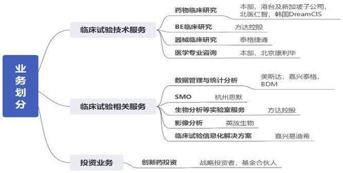 泰格醫(yī)藥 錨定臨床cro長遠(yuǎn)賽道 國際化發(fā)展加速 聚焦國內(nèi)醫(yī)藥生物產(chǎn)業(yè)重要公司