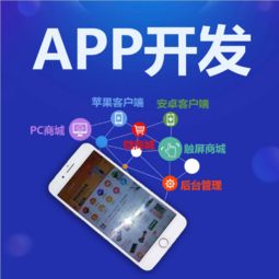專業(yè)開發(fā)app哪家效益快