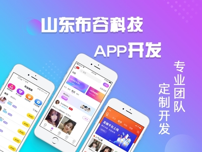 微信小程序定制開發(fā),APP源碼定制開發(fā),軟件系統(tǒng)開發(fā)